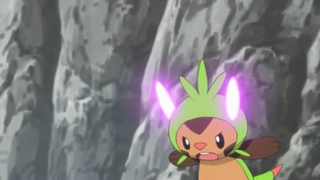Chespin_Toxic_1